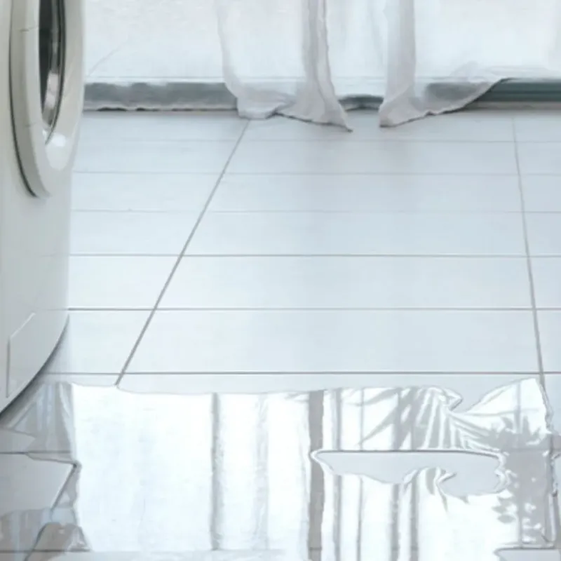Appliance Leak Cleanup in Savannah, TX