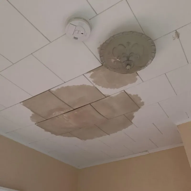 Ceiling Water Damage Repair in Savannah, TX